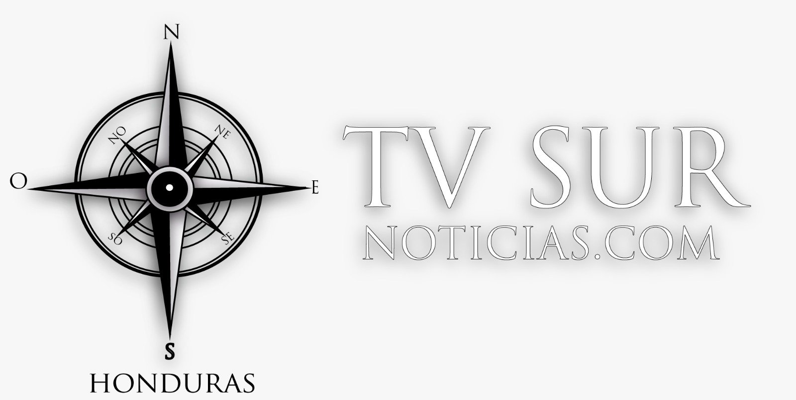 tvsurnoticias.com